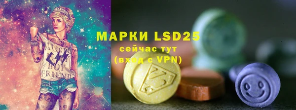 индика Вязники