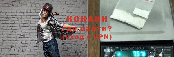 хмурый Белокуриха