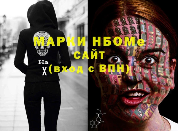 индика Вязники