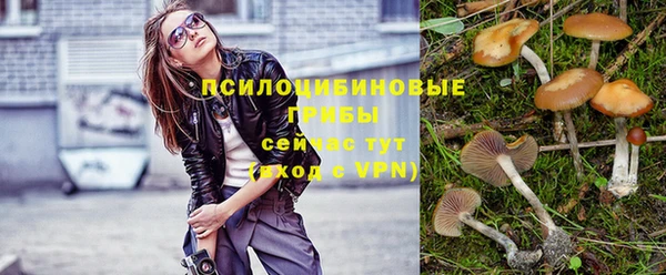 первитин Белоозёрский